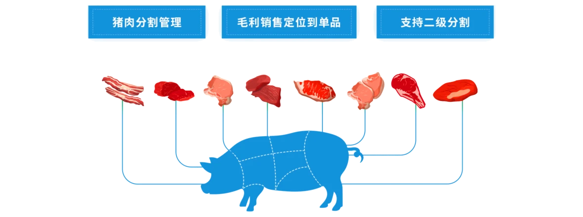 精细化分割品管理